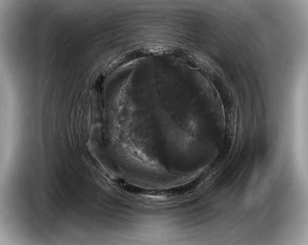 X0000086730653200704271631