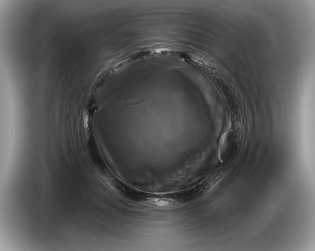 X0000086730654200704271631