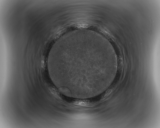 X0000086730655200704271631