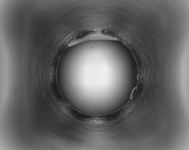 X0000086730656200704271631