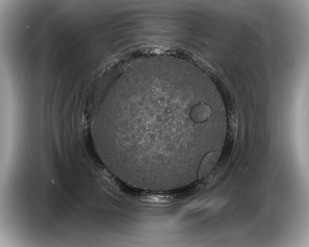 X0000086730657200704271631