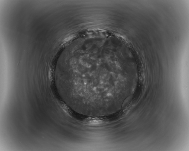 X0000086730658200704271631