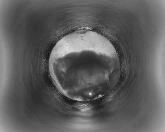 X0000086730659200704271631