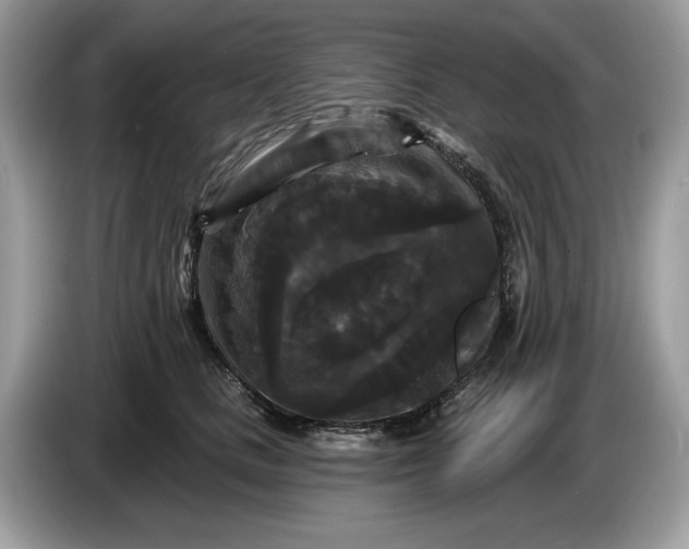 X0000086730661200704271631