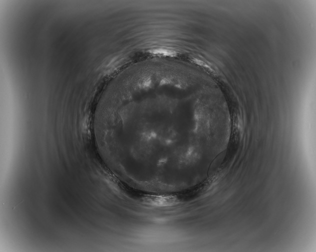 X0000086730663200704271631