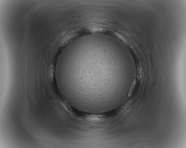 X0000086730664200704271631