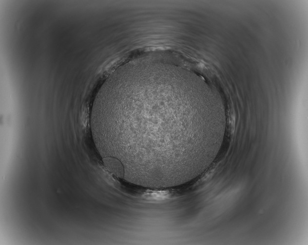 X0000086730665200704271631