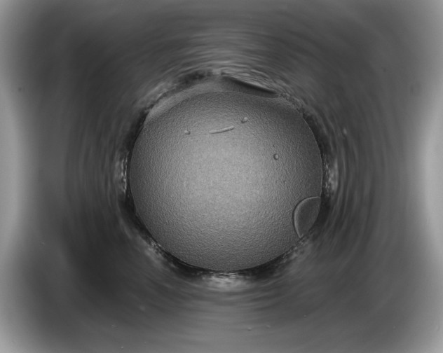 X0000086730666200704271631