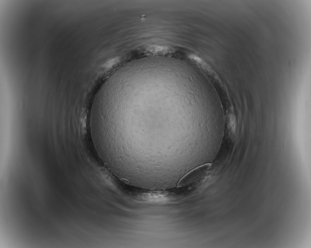 X0000086730668200704271631