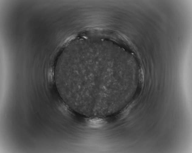 X0000086730669200704271631