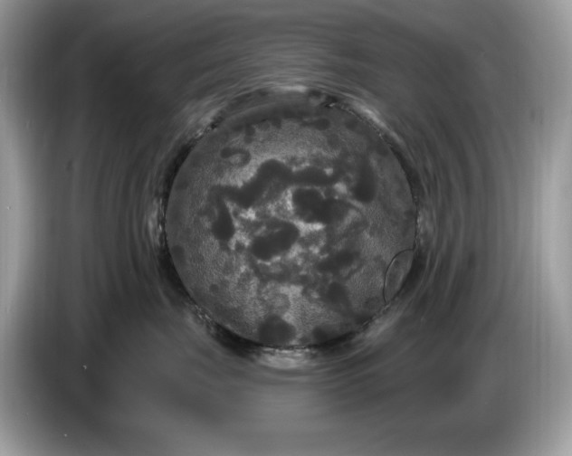 X0000086730671200704271632