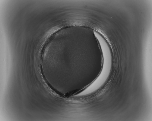 X0000086730673200704271631