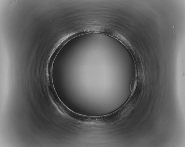 X0000086730674200704271631