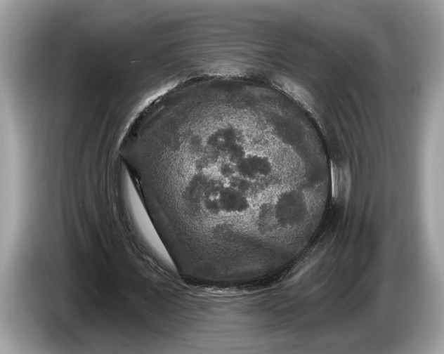 X0000086730675200704271631