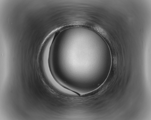 X0000086730676200704271631