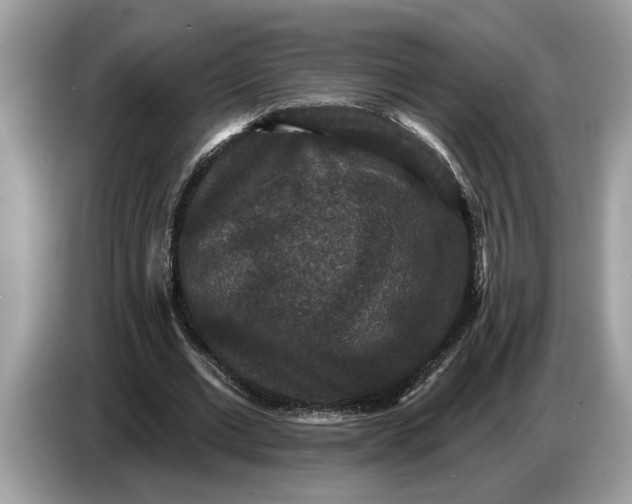 X0000086730677200704271631