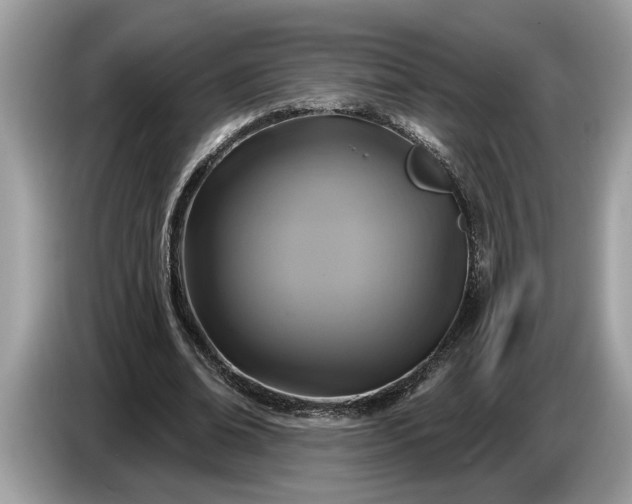 X0000086730678200704271631