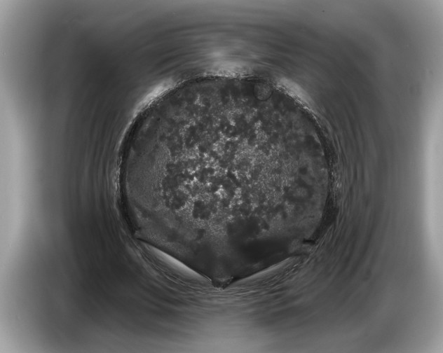 X0000086730679200704271631