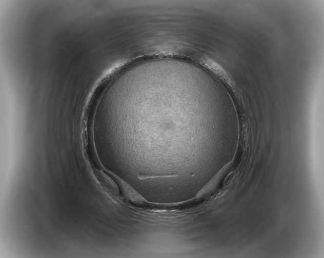 X0000086730680200704271631