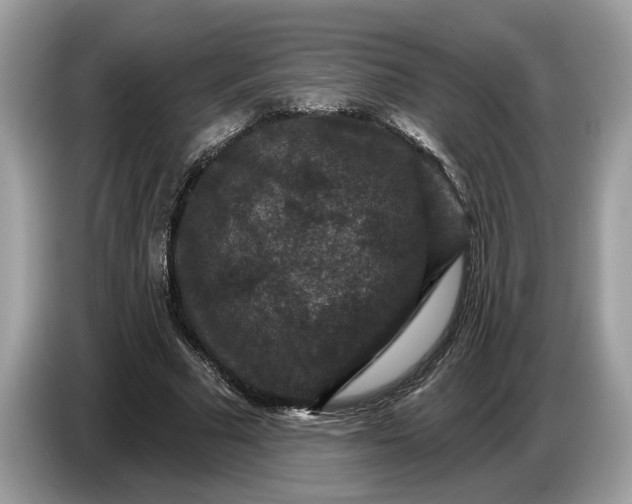 X0000086730681200704271631