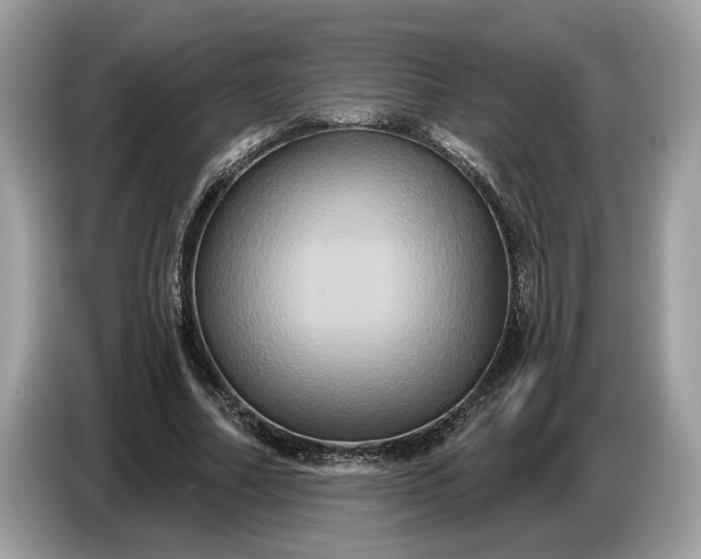 X0000086730682200704271631