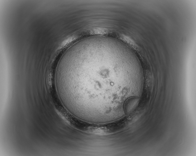 X0000086730683200704271631