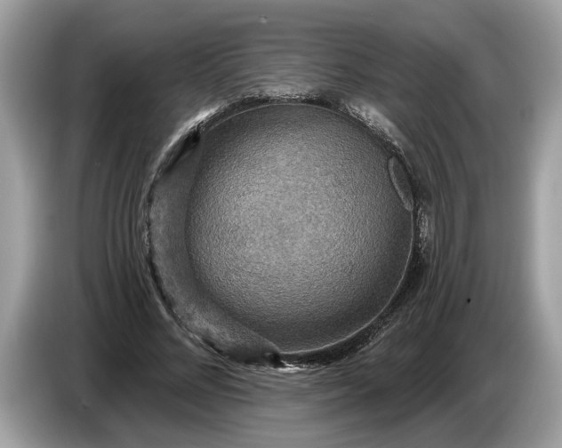 X0000086730684200704271631