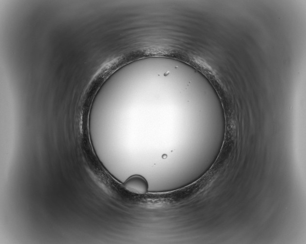 X0000086730686200704271631