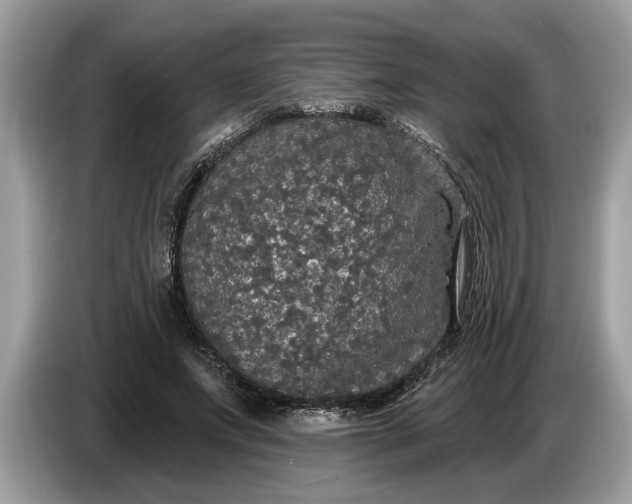 X0000086730687200704271631