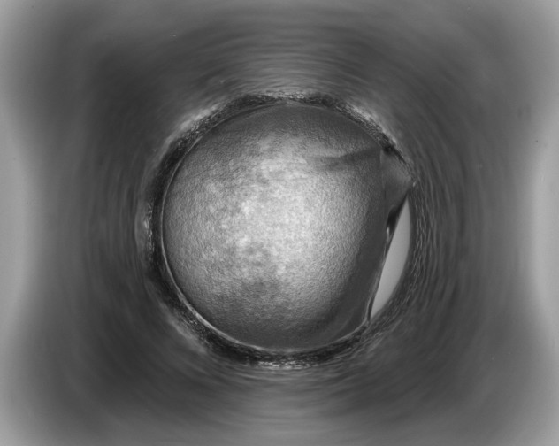 X0000086730688200704271631