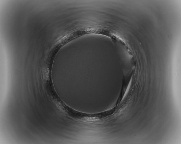 X0000086730689200704271631