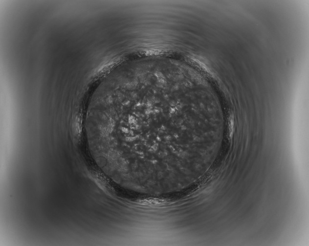 X0000086730691200704271631