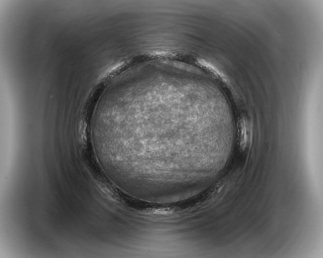 X0000086730692200704271631