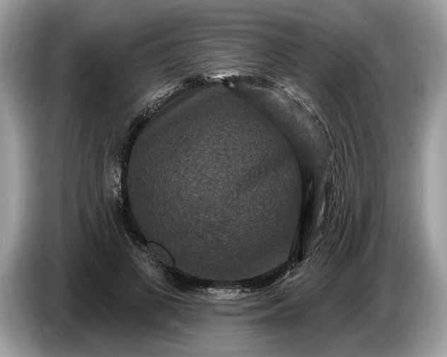 X0000086730693200704271631