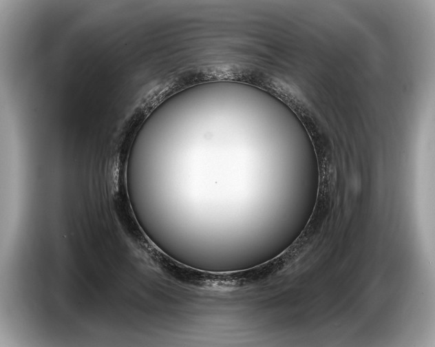 X0000086730694200704271631