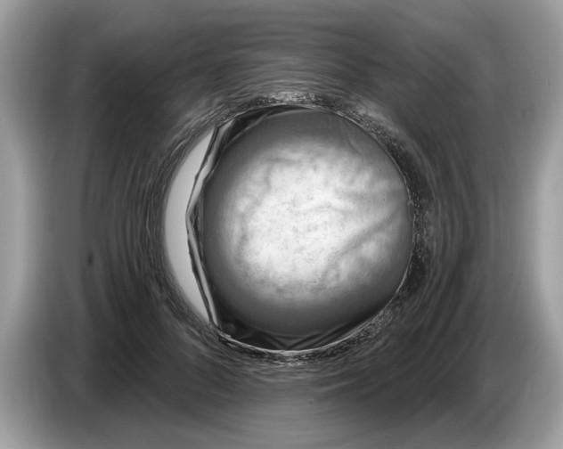 X0000086730696200704271631