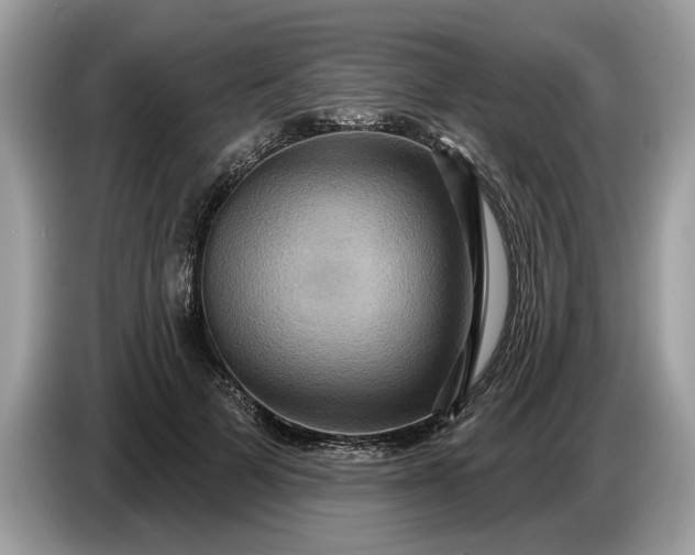 X0000086730697200704271631