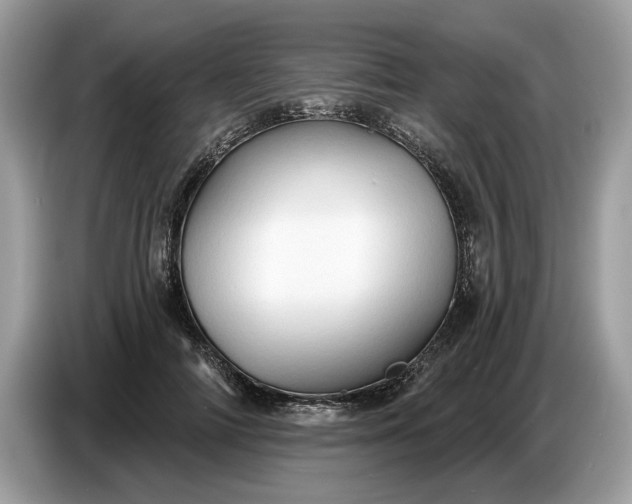 X0000086730698200704271631