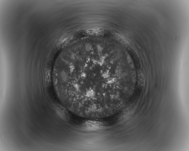 X0000086730699200704271631