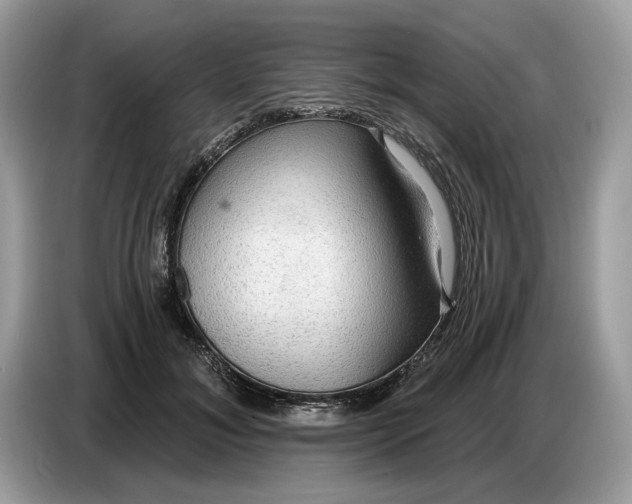 X0000086730700200704271631