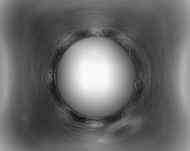 X0000086730702200704271631