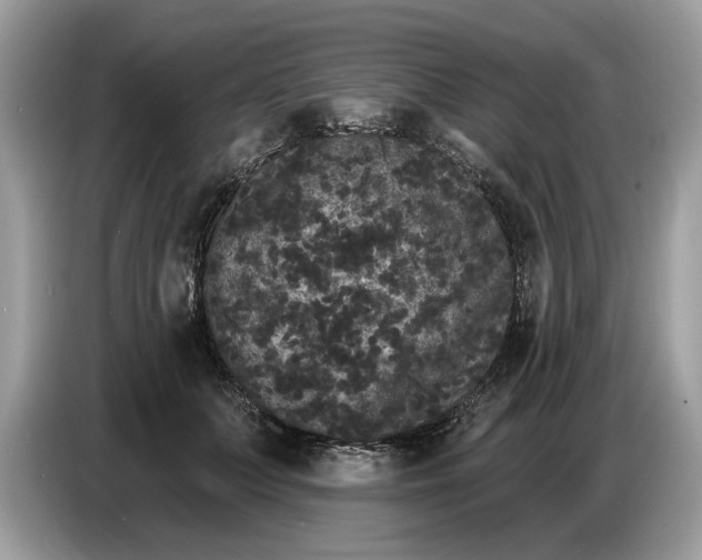 X0000086730703200704271631