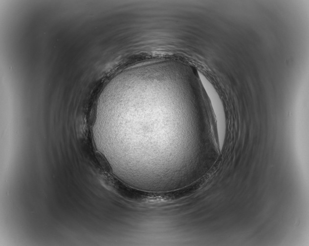 X0000086730704200704271631