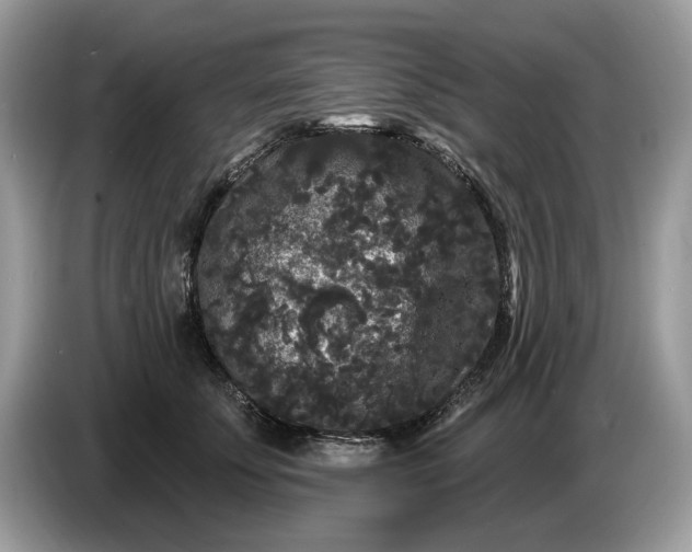 X0000086730707200704271630