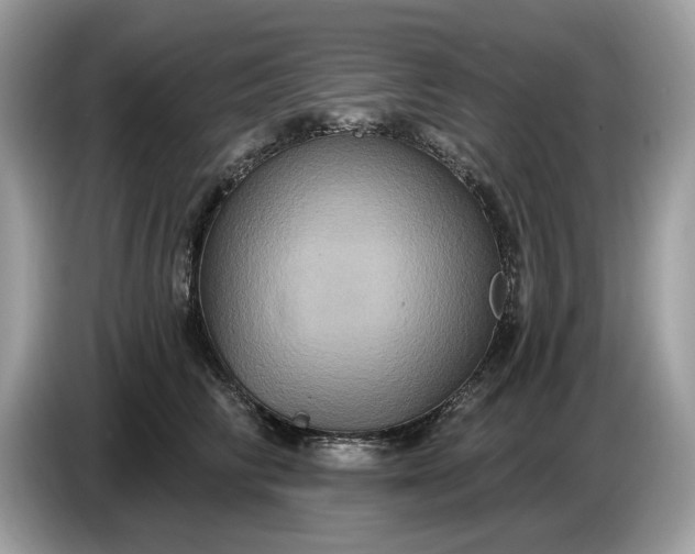 X0000086730710200704271630