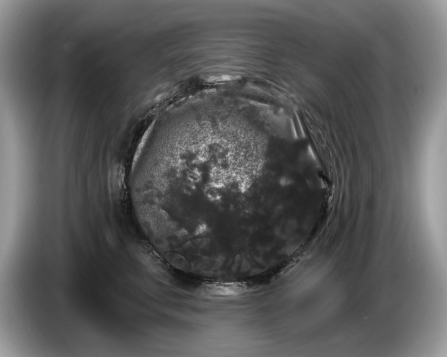 X0000086730711200704271630