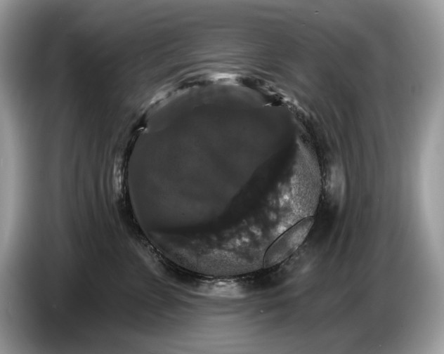 X0000086730715200704271630