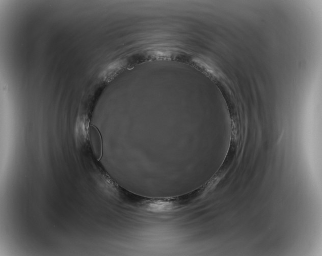 X0000086730718200704271630