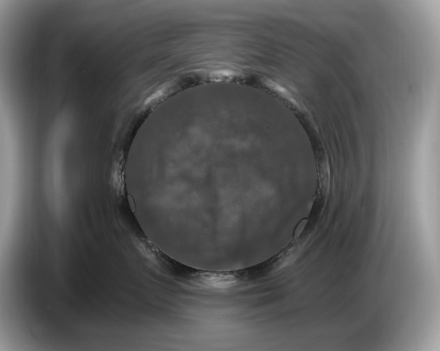 X0000086730719200704271630