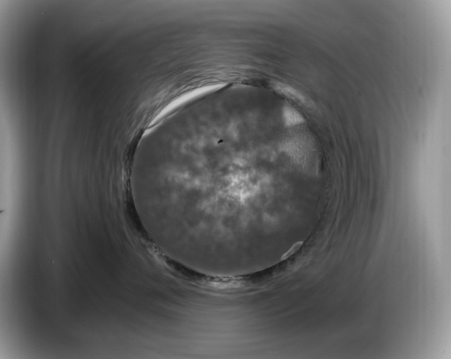 X0000086730720200704271630